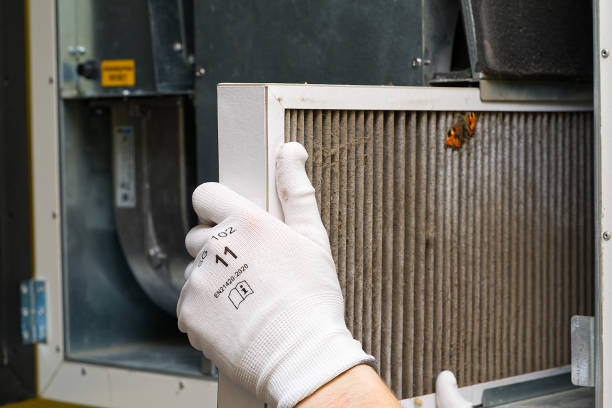 Best Professional Duct Cleaning Services  in Martins Ferry, OH