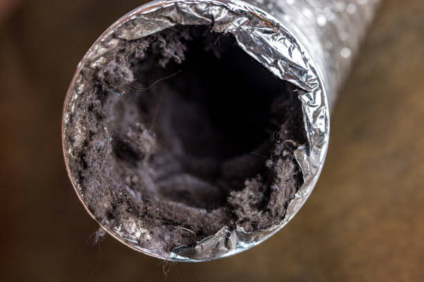 Best HVAC Air Duct Cleaning  in Martins Ferry, OH