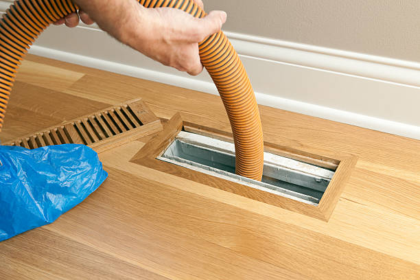 Best Professional Duct Cleaning Services  in Martins Ferry, OH